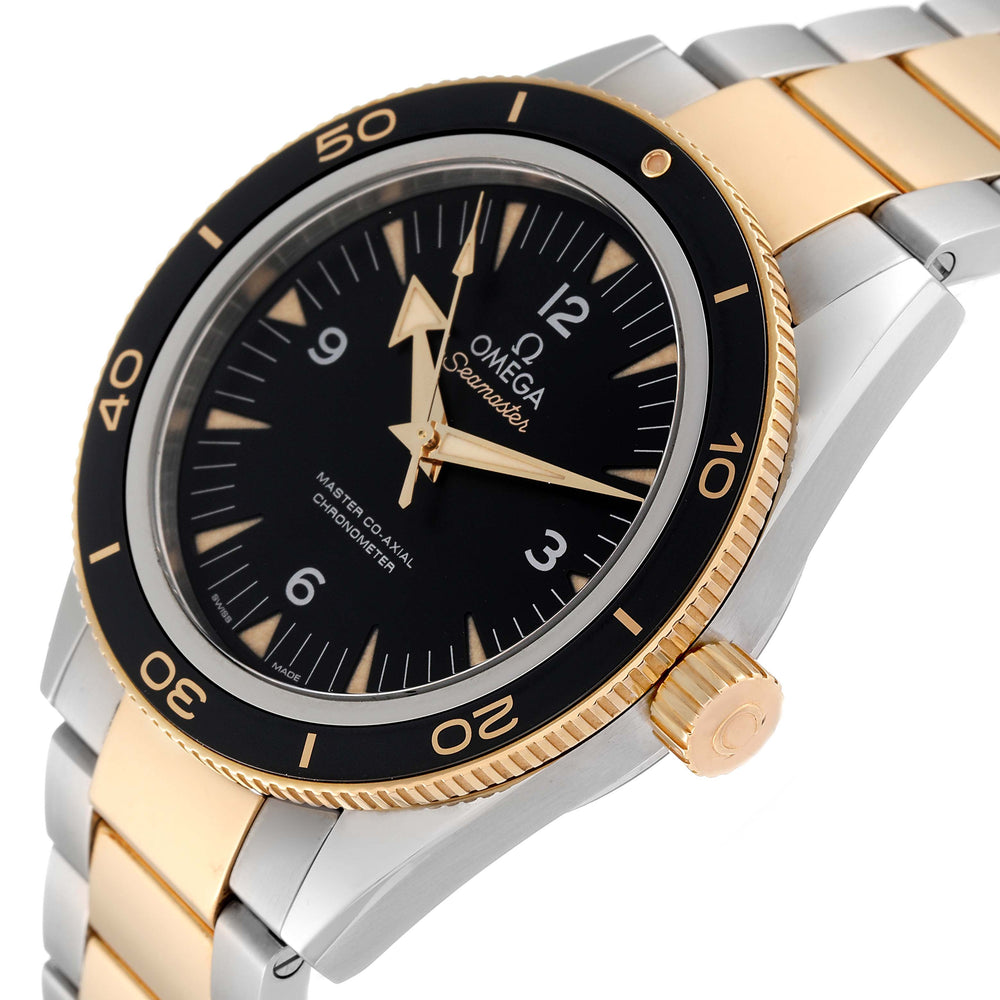 OMEGA Seamaster 233.20.41.21.01.002 2