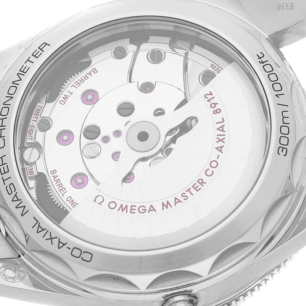 OMEGA Seamaster 234.30.41.21.01.001 4