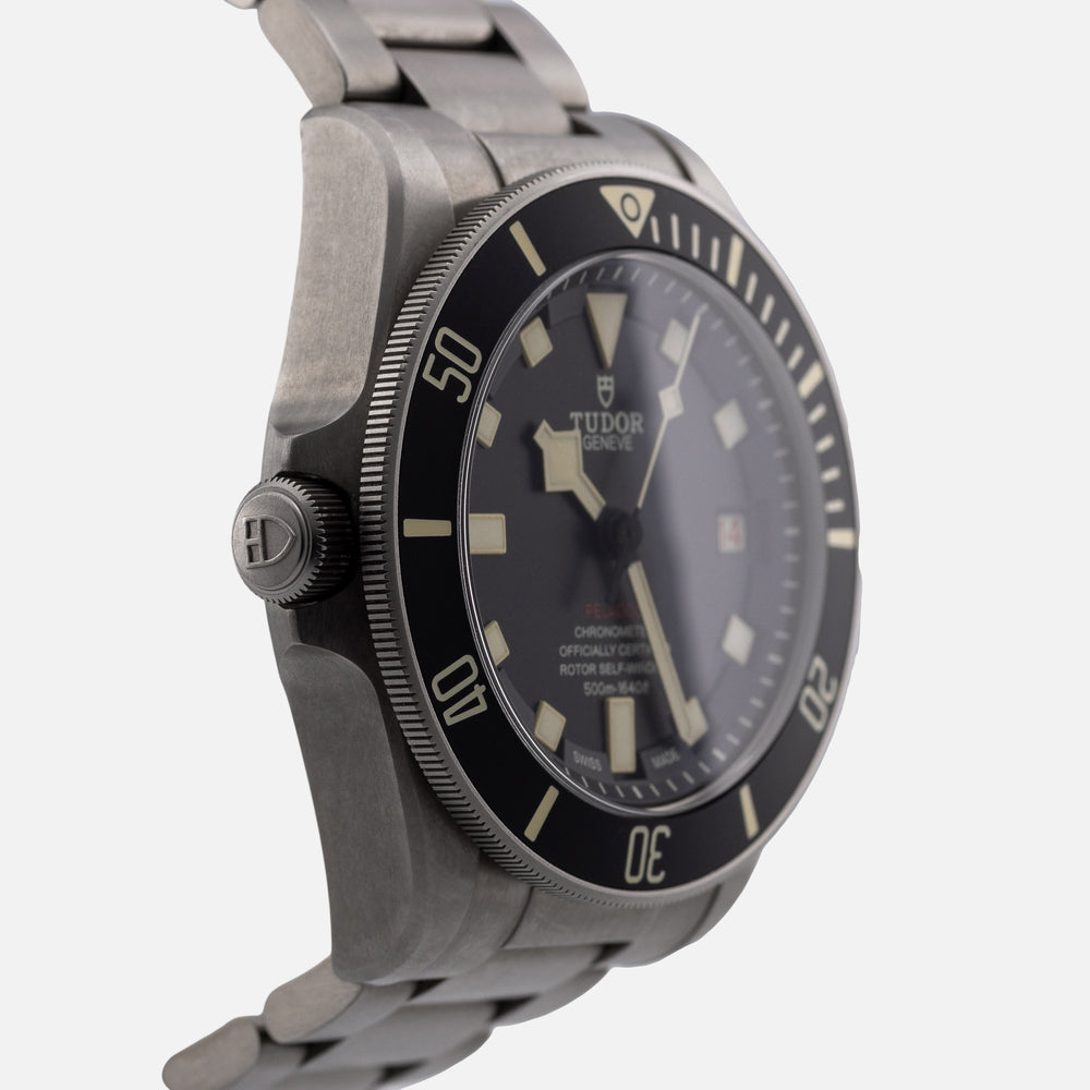 Tudor Pelagos 25610 4